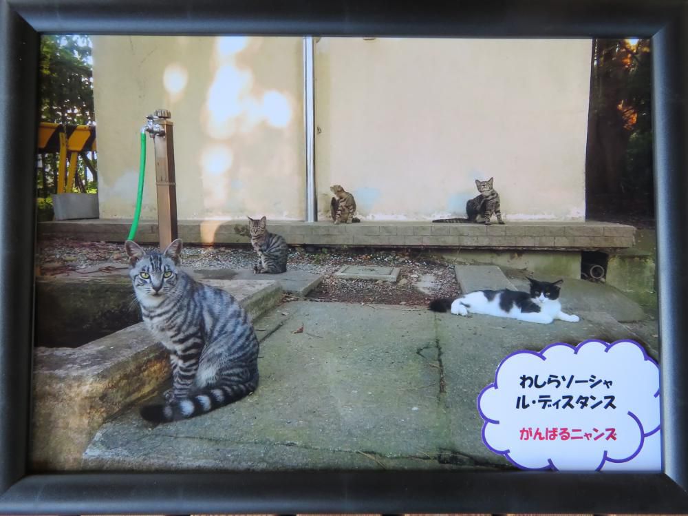 わしらソーシャル・ディスタンス