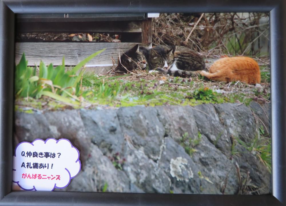仲良きことは・・・