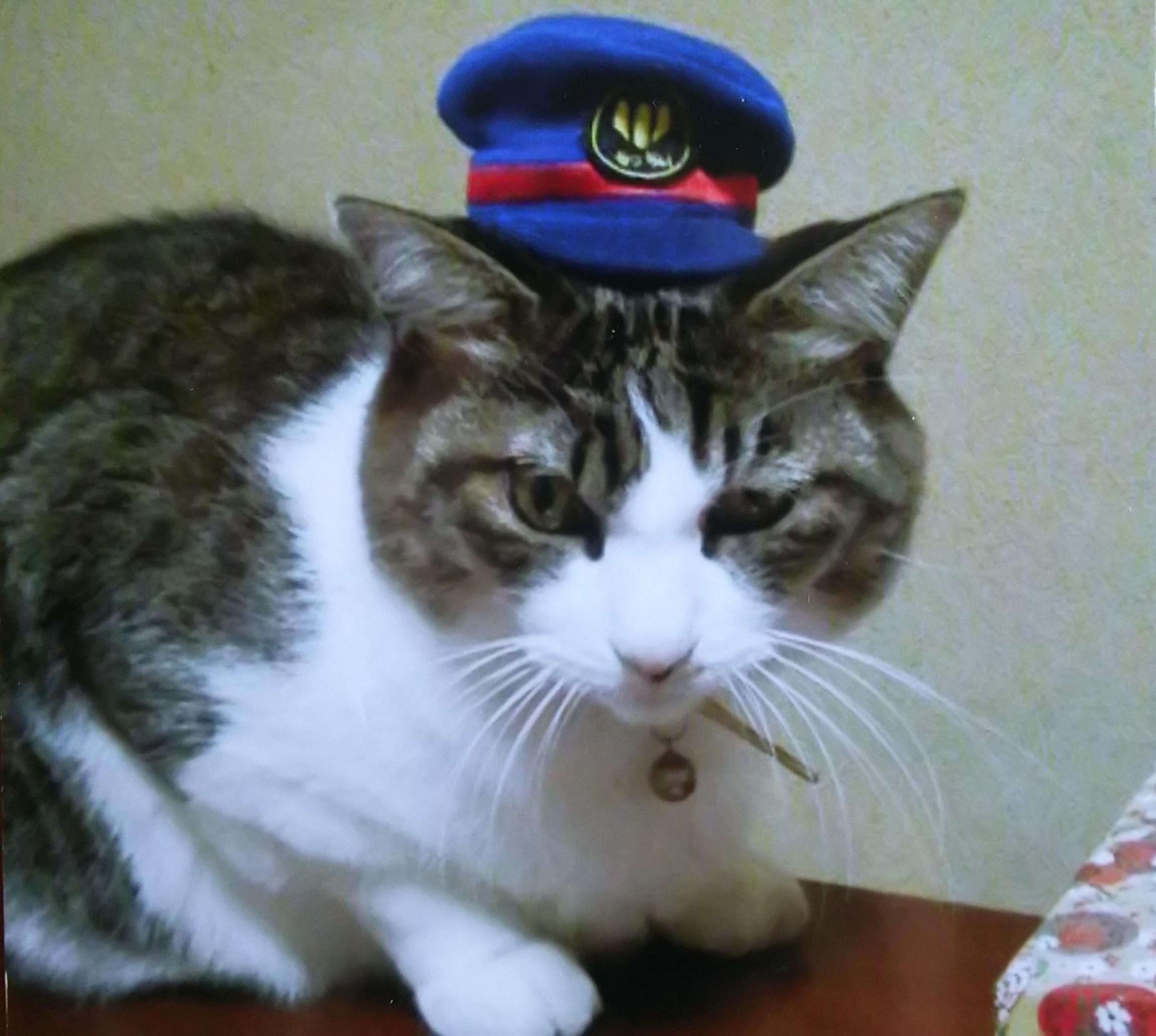 ニャリタ駅長です