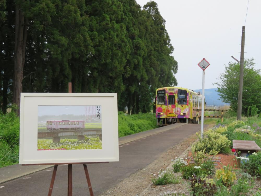 成田界隈探検　いつもの