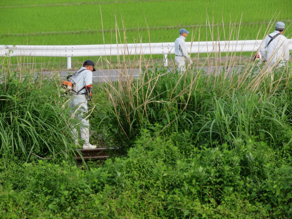 朝仕事、ご苦労様！
