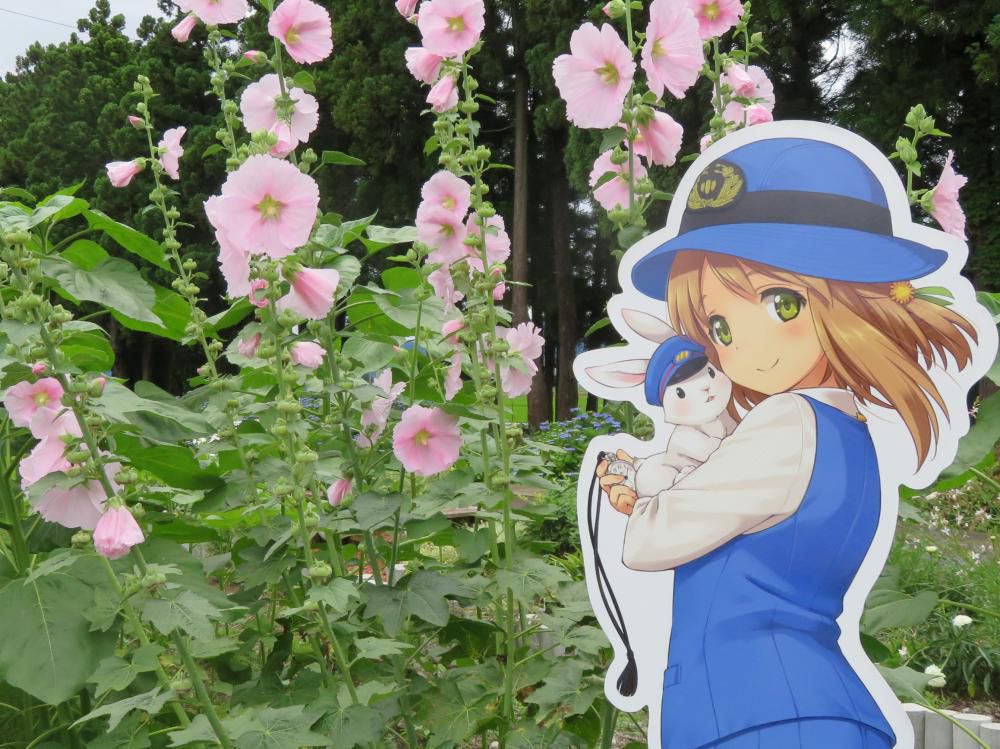 りんごちゃん撮影会の２