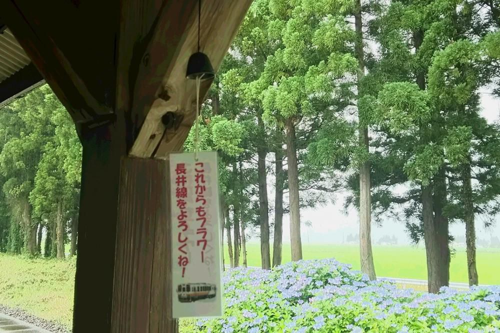 風鈴涼やかに