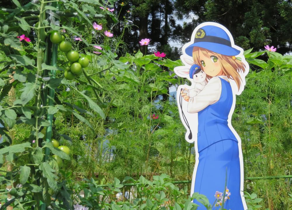 りんごちゃん撮影会の３