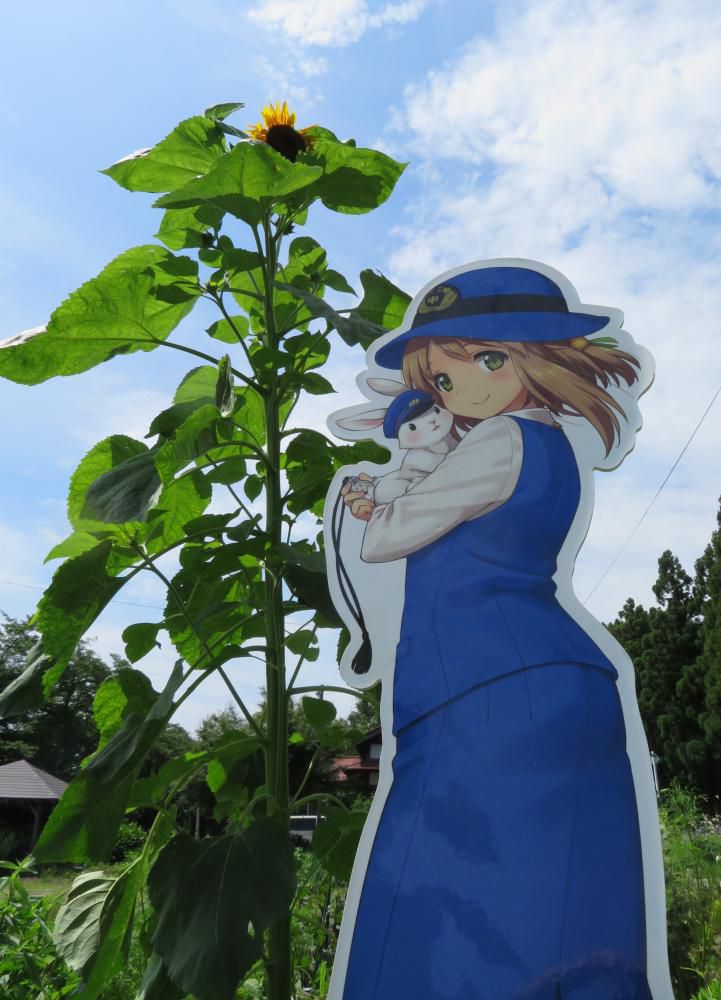 りんごちゃん撮影会の４