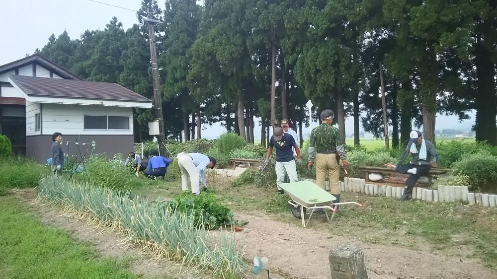 花壇の夏じまい