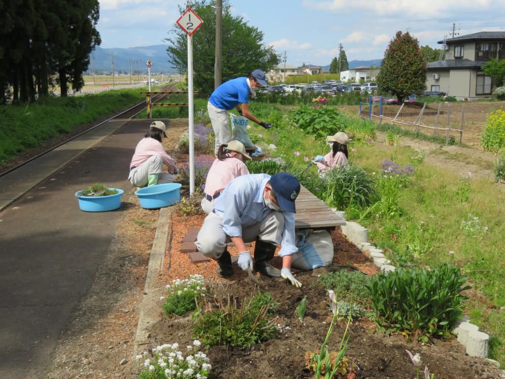 強力助っ人登場！　 置賜農業高校生