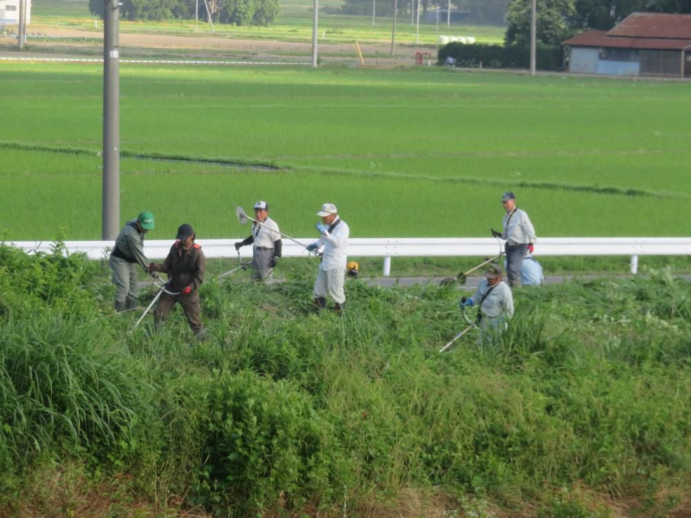 みんなで大切にしていきたい