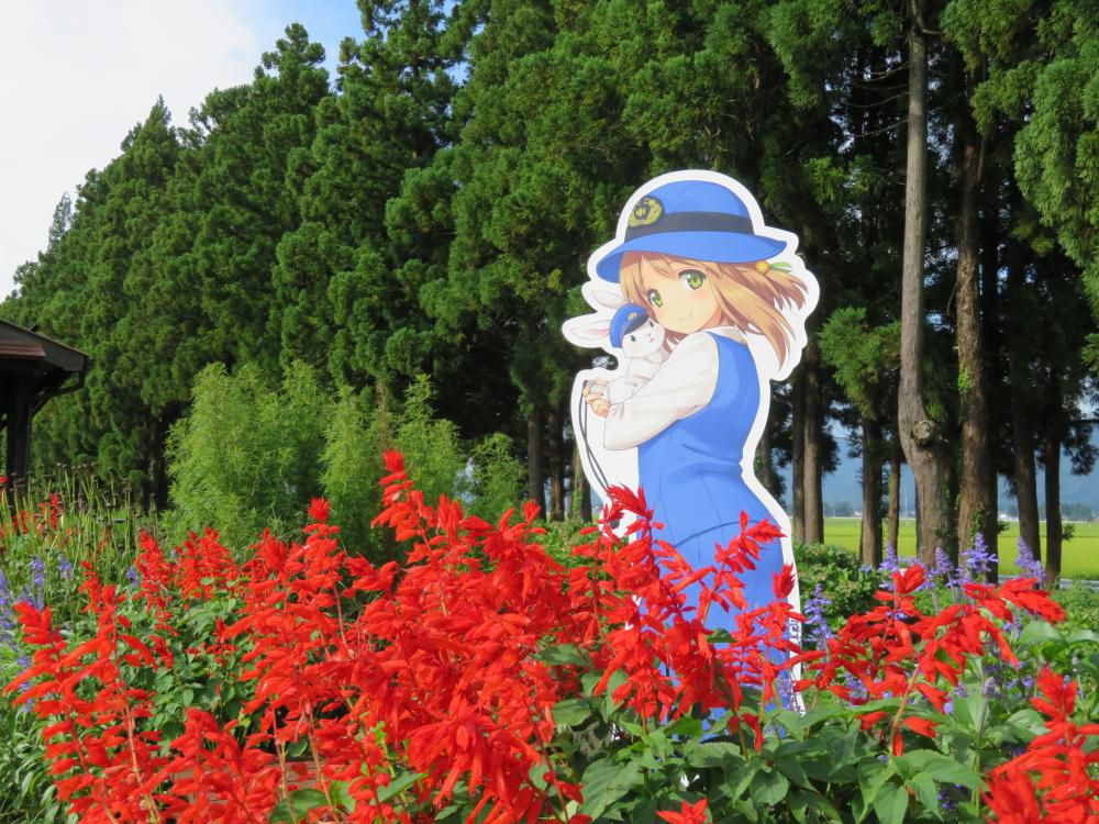 サルビアの中で