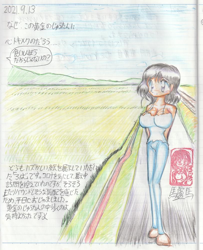 驢馬さんのお散歩風景