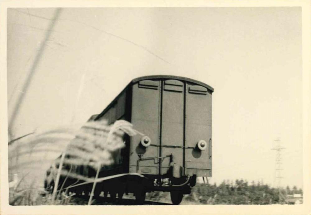 貨物列車の背中
