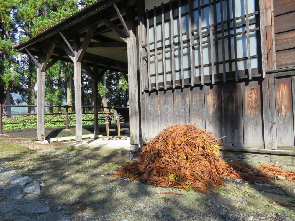 拾う神あれば・・・・