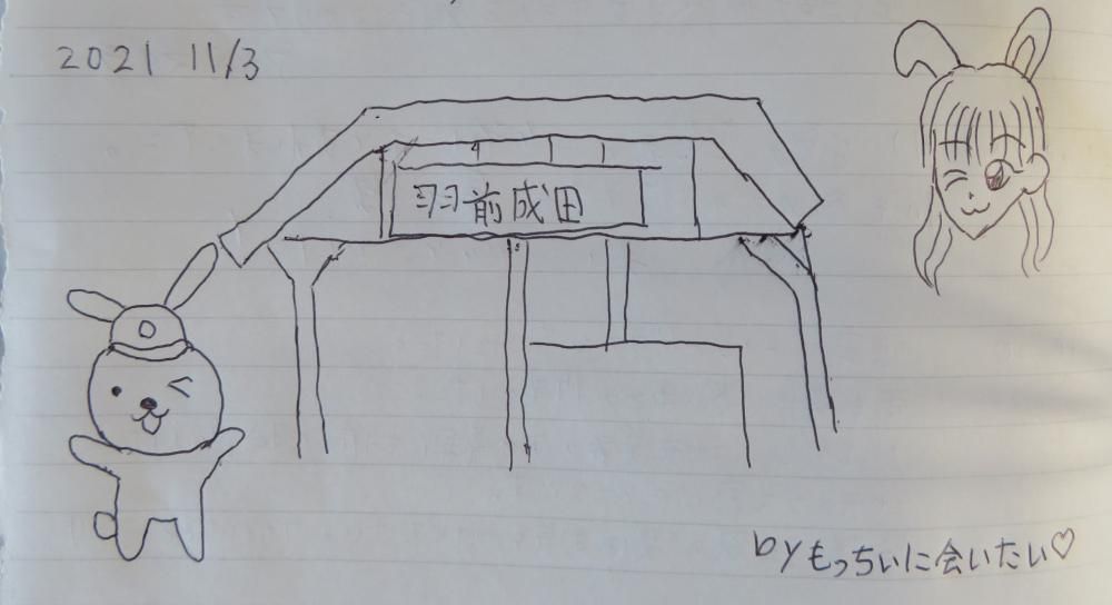 もっちぃの表情が素敵です
