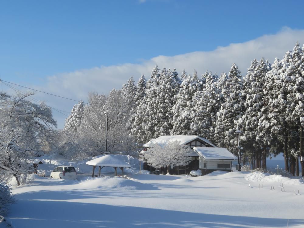 踊子草より雪がよい