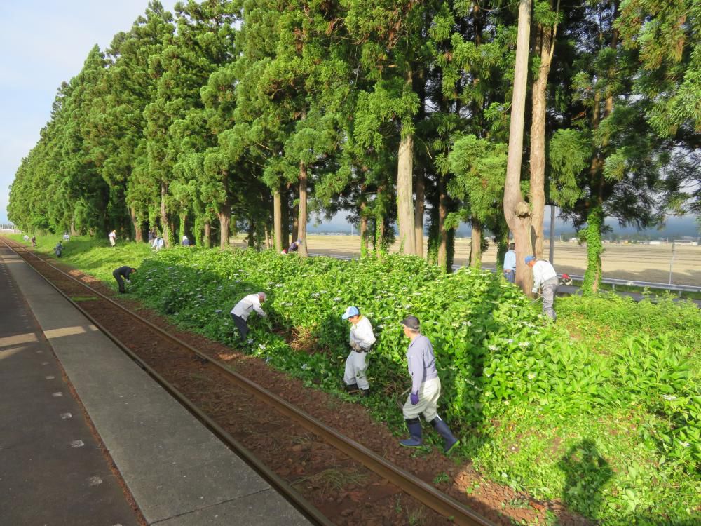 草刈り作業と貸切列車