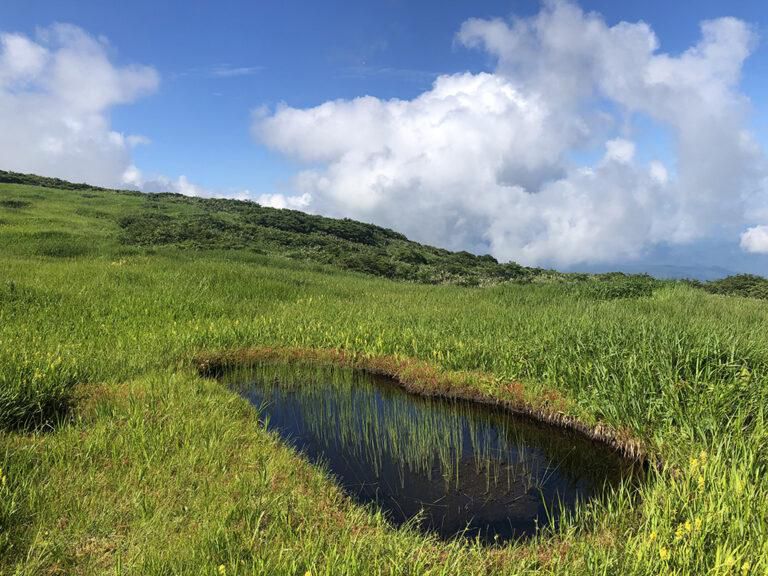 いなかの白兎（５）　葉山伝説異聞