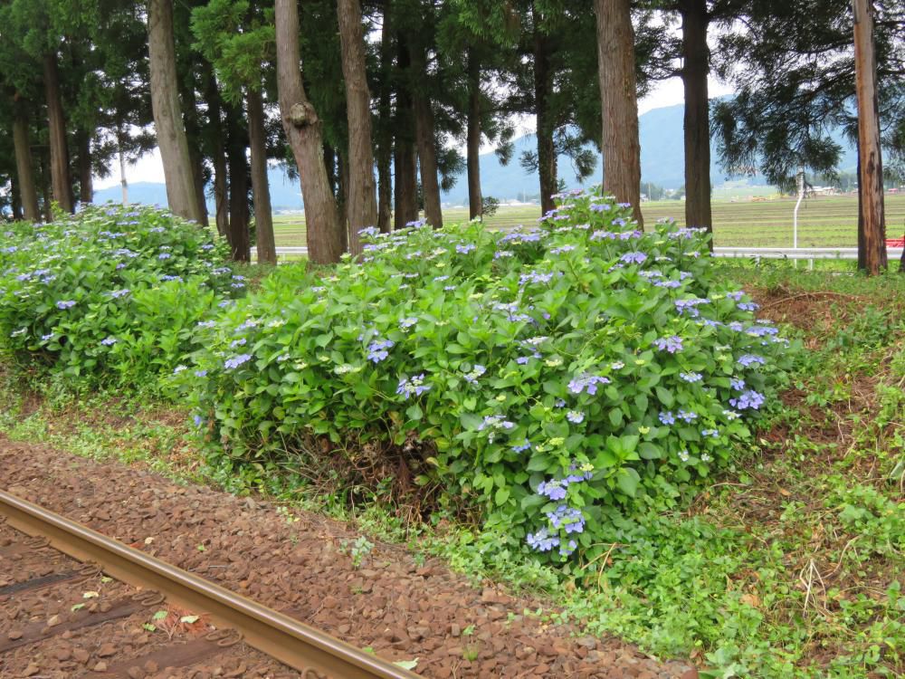 祖母に会えたような気持になって