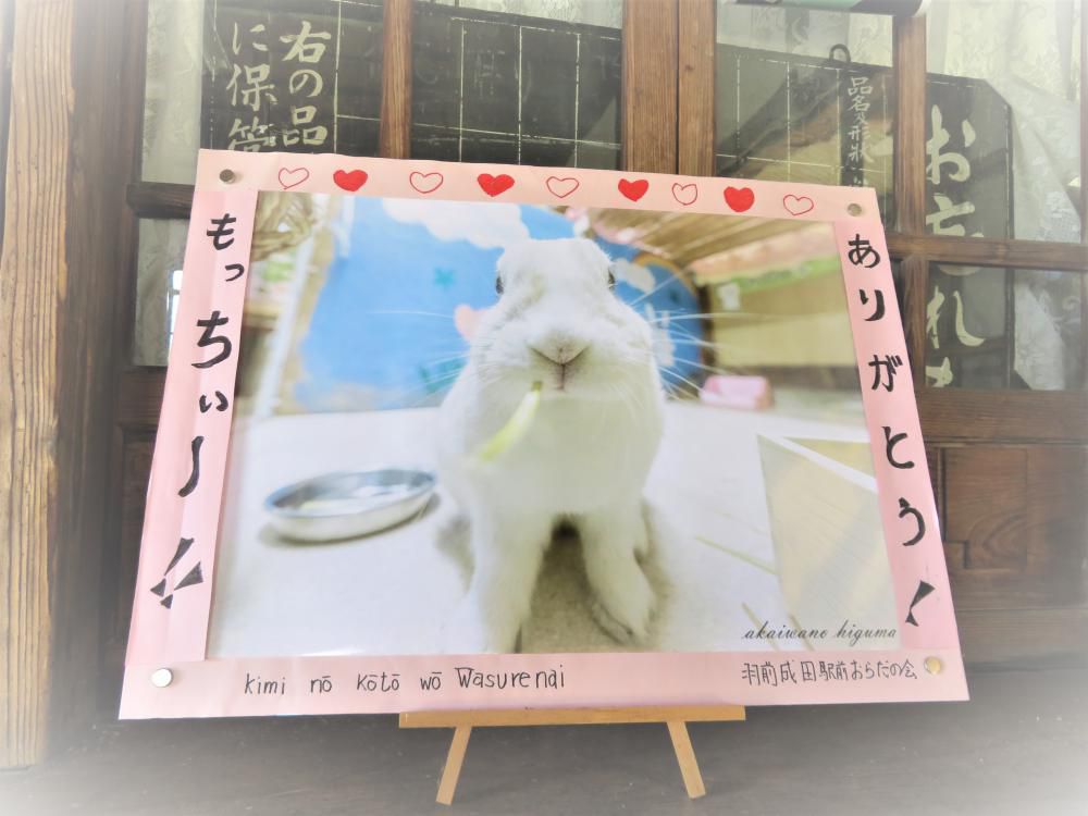 もっちぃを忘れない