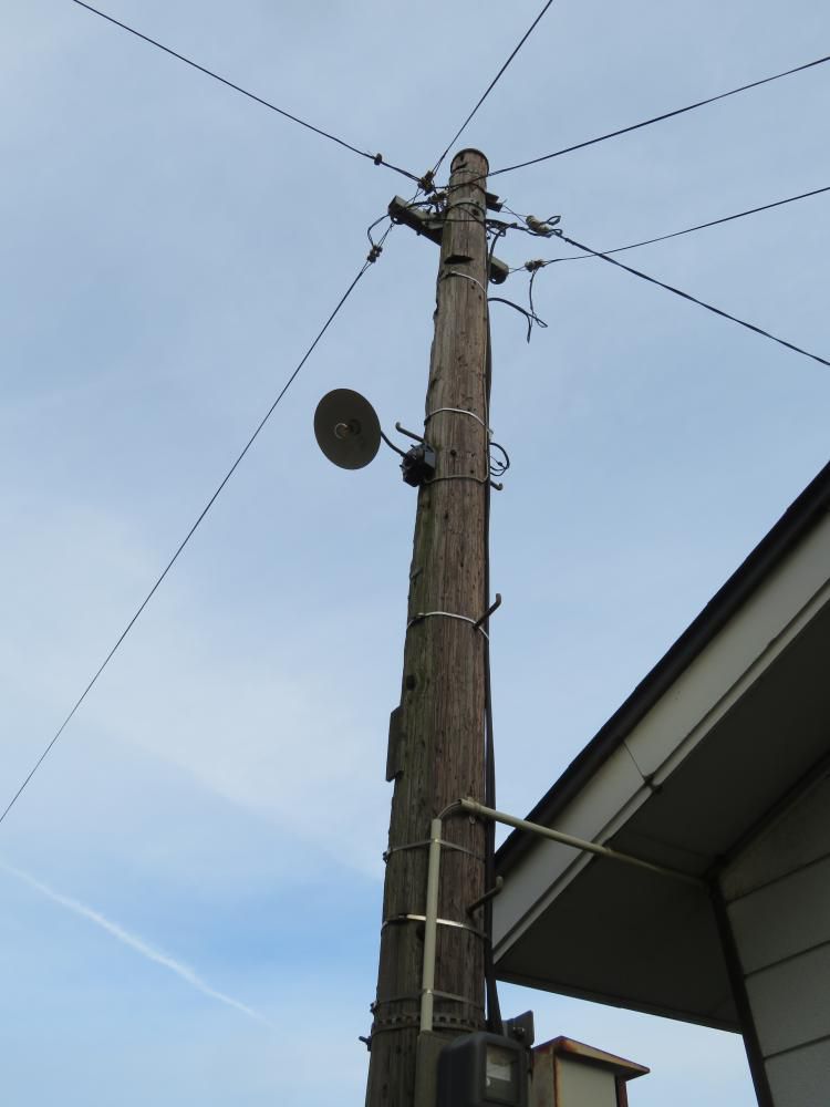 木製電柱が現役だ