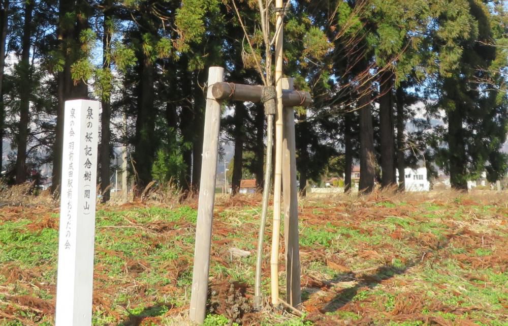 2023年を振り返る　その1