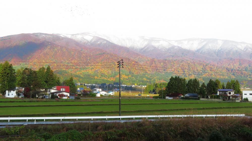 ありのままの良い駅です