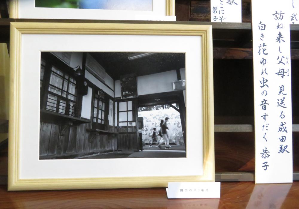 歌と写真のコラボ「視線」展 その3
