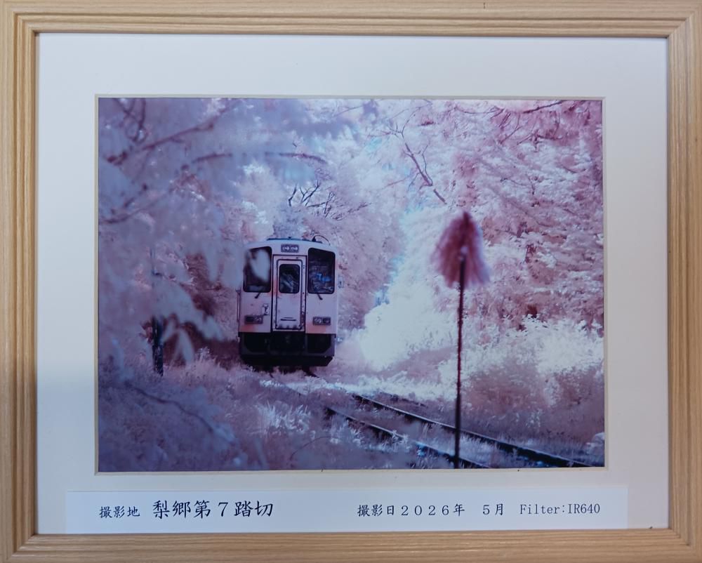 孫田稔「赤外線写真展」から　「リアル」と「幻想」の世界へ