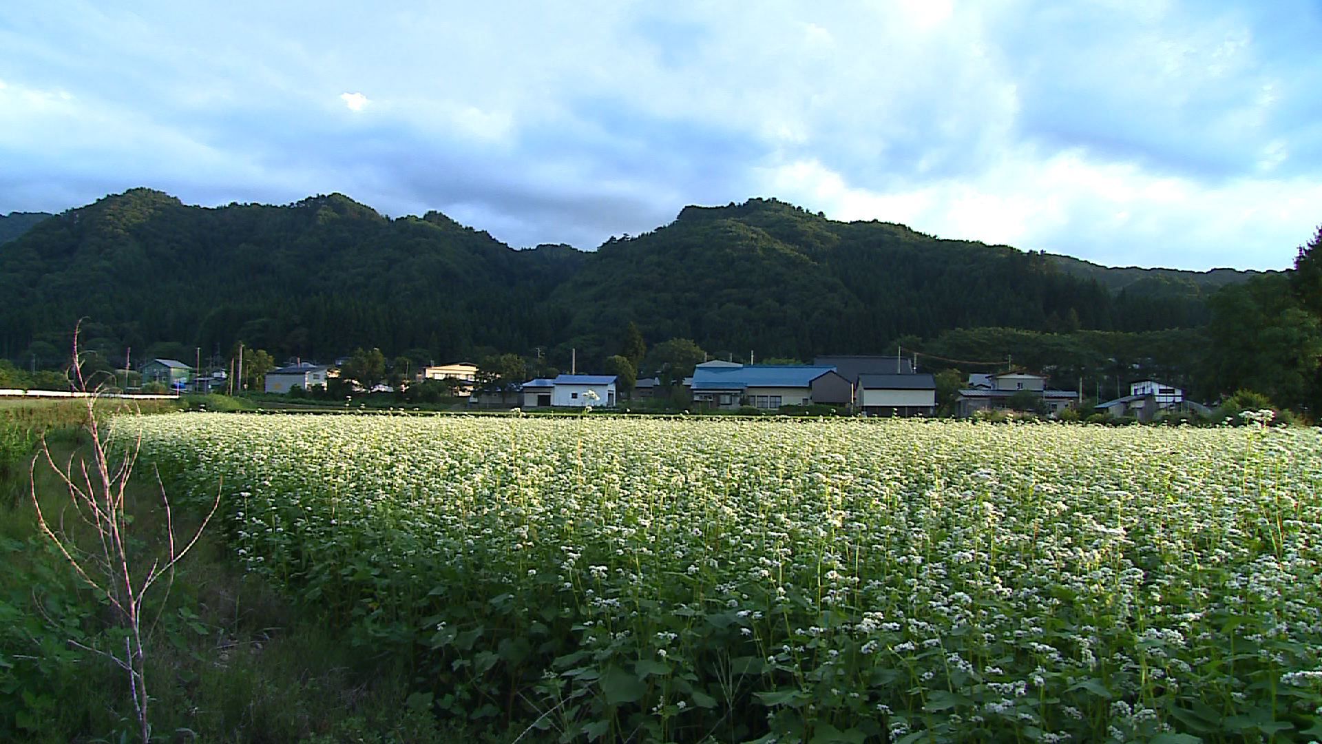 米沢市山上地区の宝探し！
