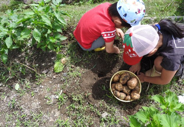 子どものため家庭菜園のできるマイホーム