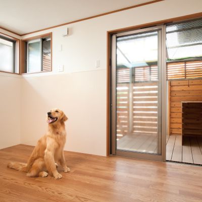 愛犬と暮らす家