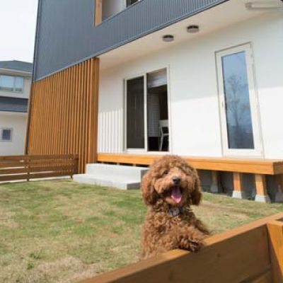 愛犬と暮らす家