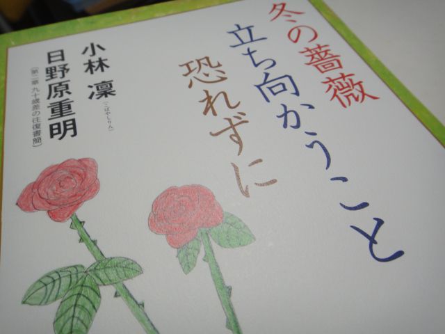 冬の薔薇　立ち向かうこと　恐れずに