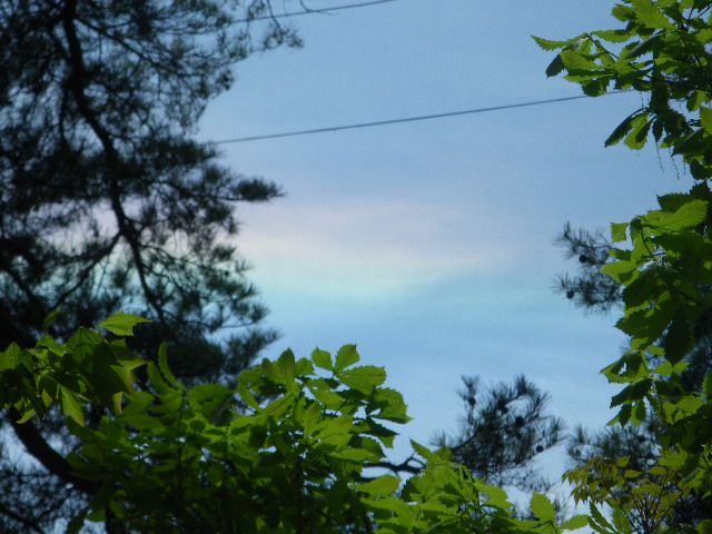 彩雲・・・