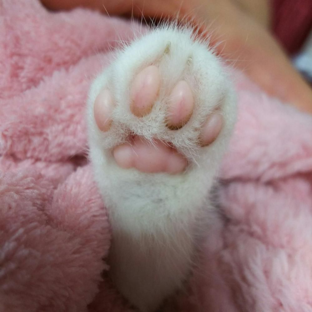 チラッ！