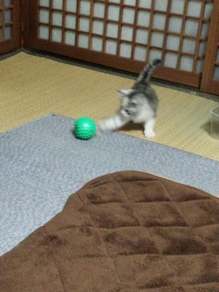 サッカー楽しい～