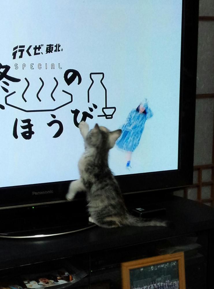 テレビは離れて見ようよ