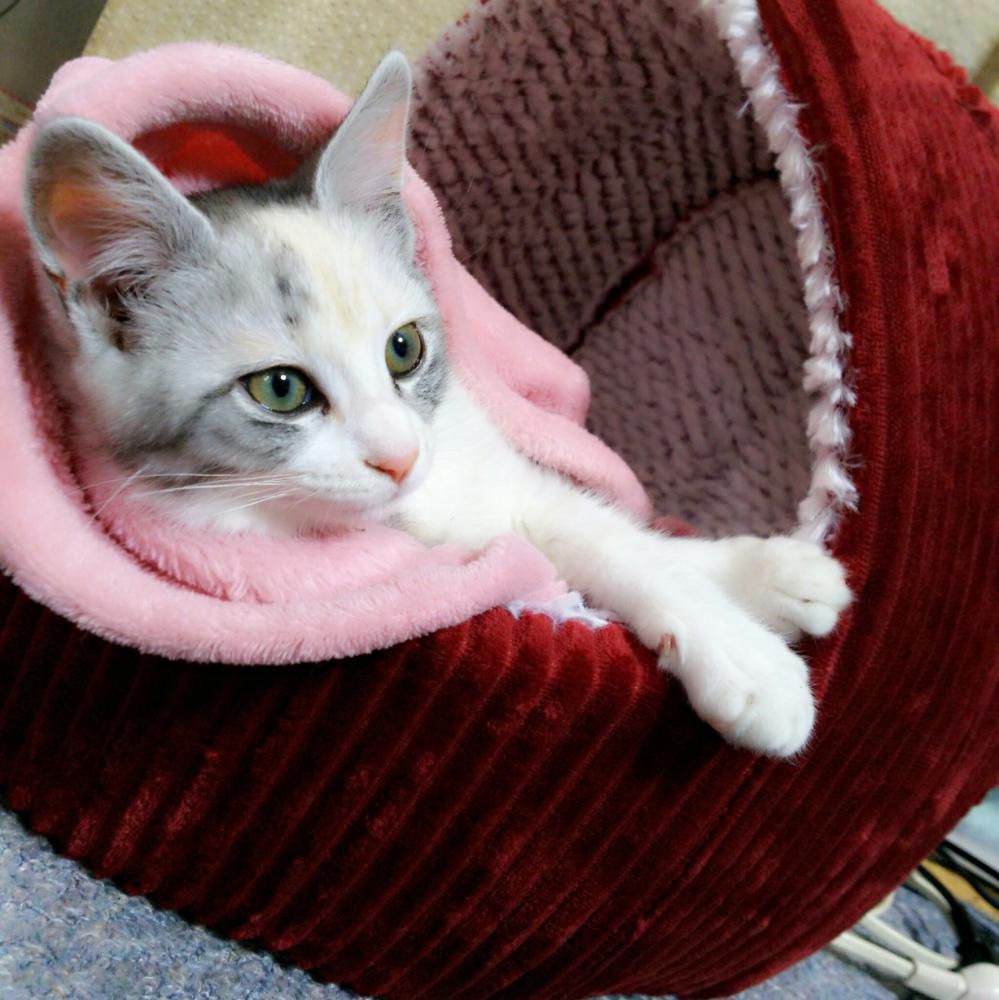まったり～♪