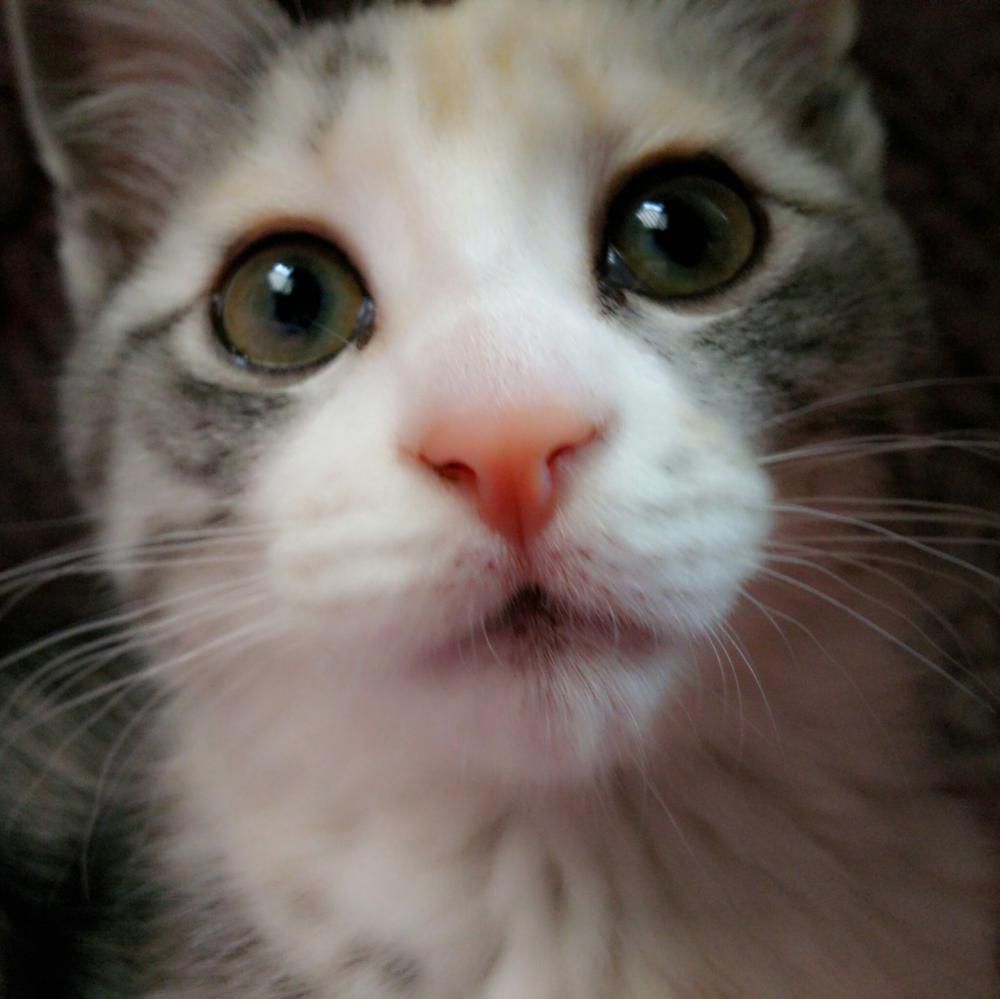 アップすぎてごめんなさい