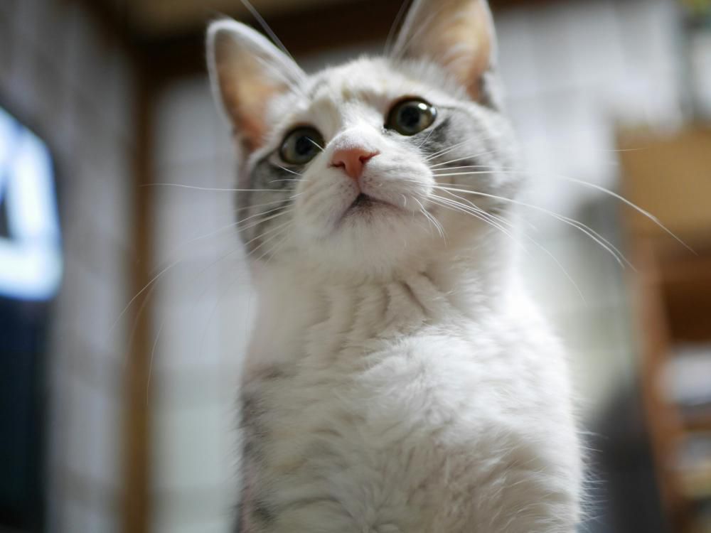 まーるくなった
