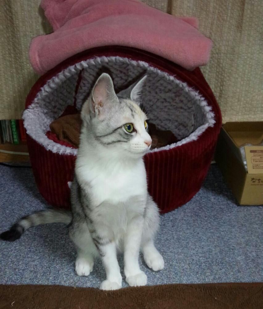 がに股だね