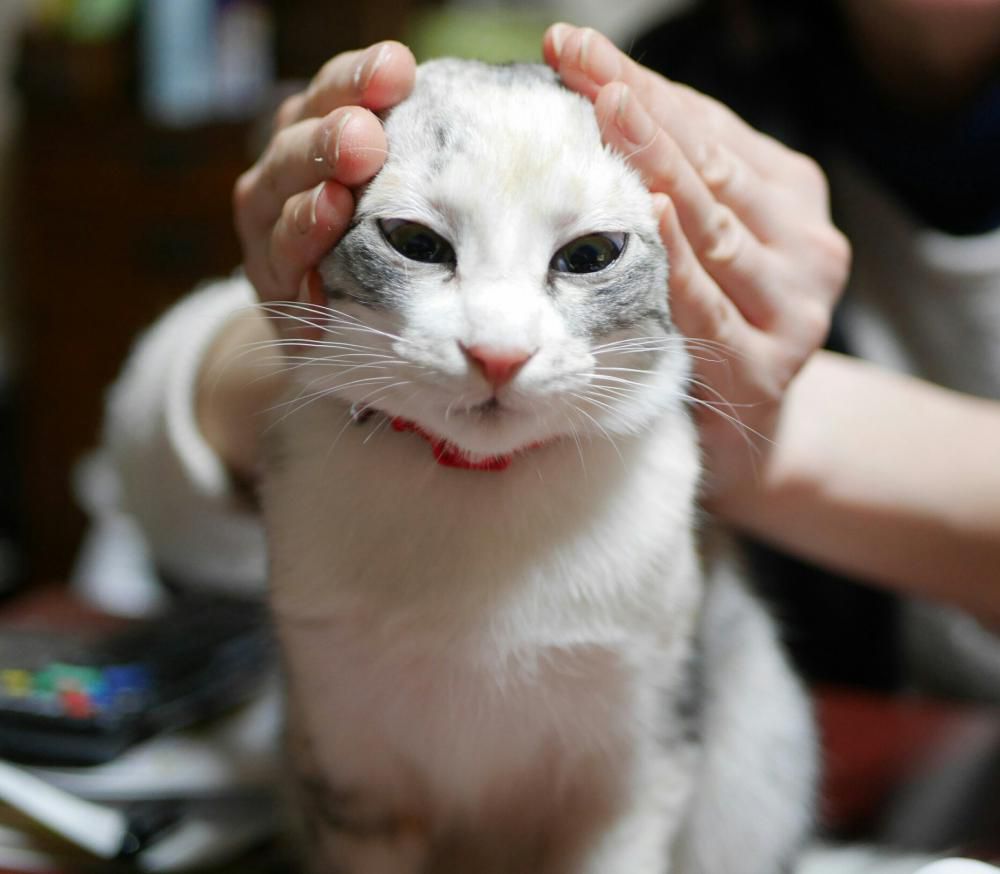 あそばれて・・・