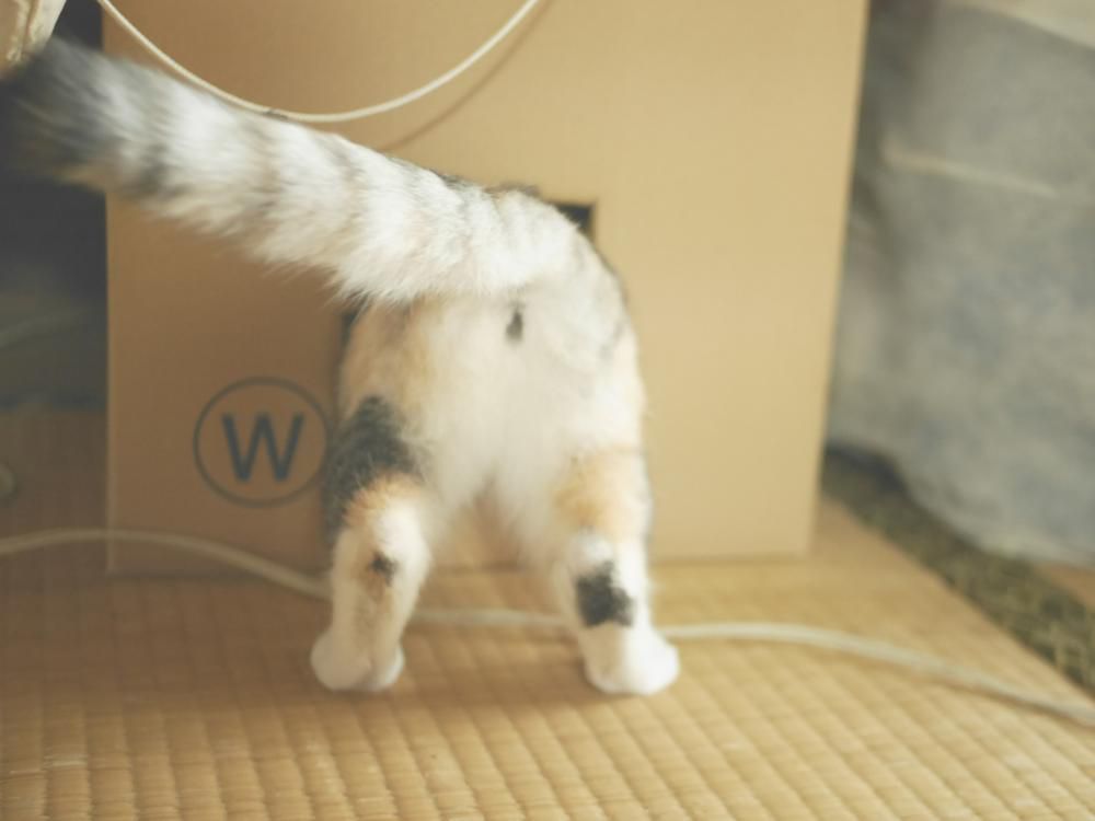 むっちり！