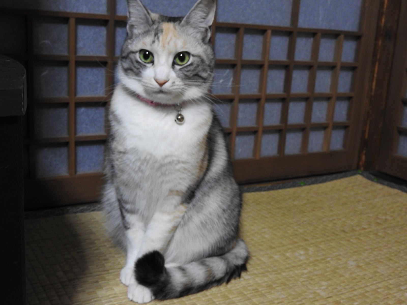 三つ指ついて