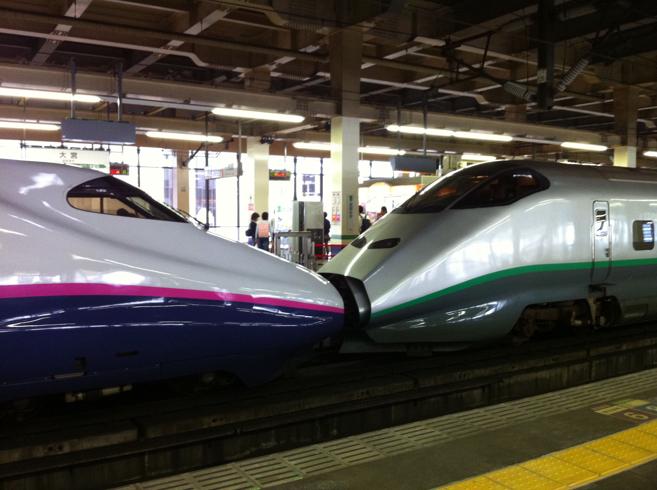 ふるさと行きの乗車券