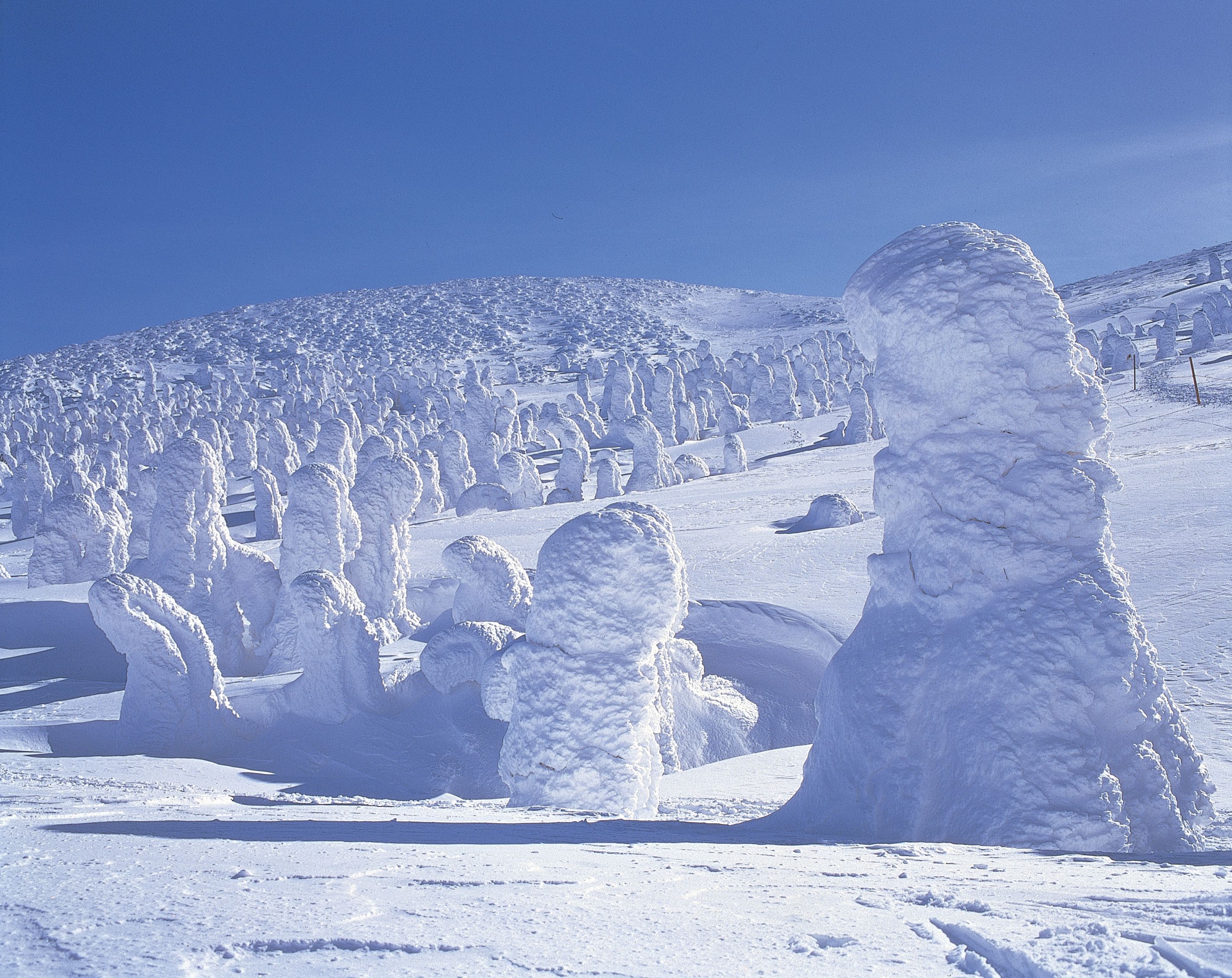 雪