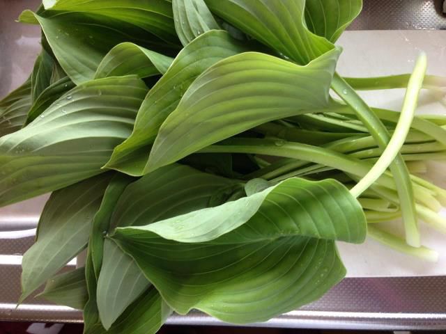 山菜