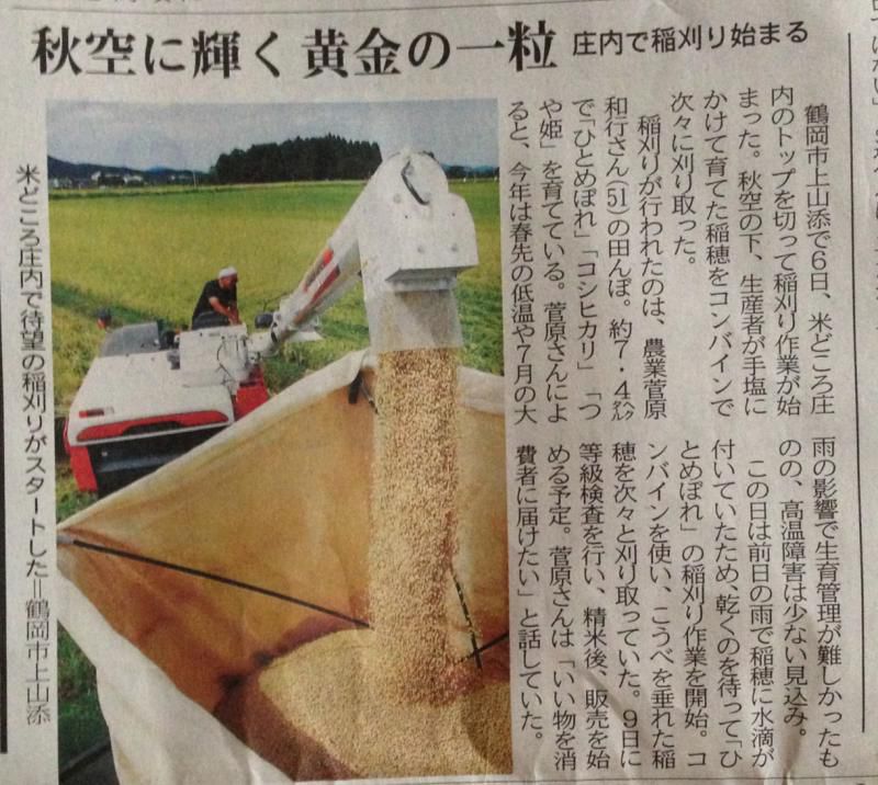 実りの秋