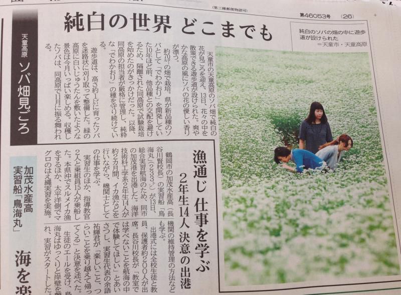秋の花見