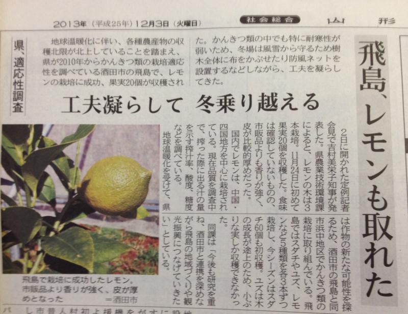 飛島レモン