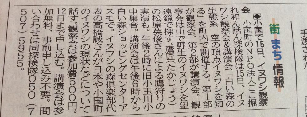 イヌワシ